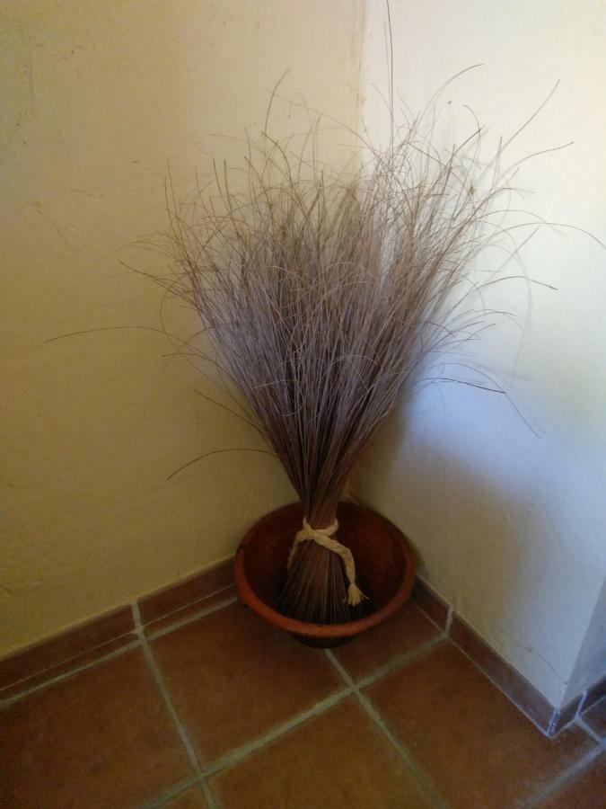 Aguilar del Río Alhama Casa Rural Celtia מראה חיצוני תמונה